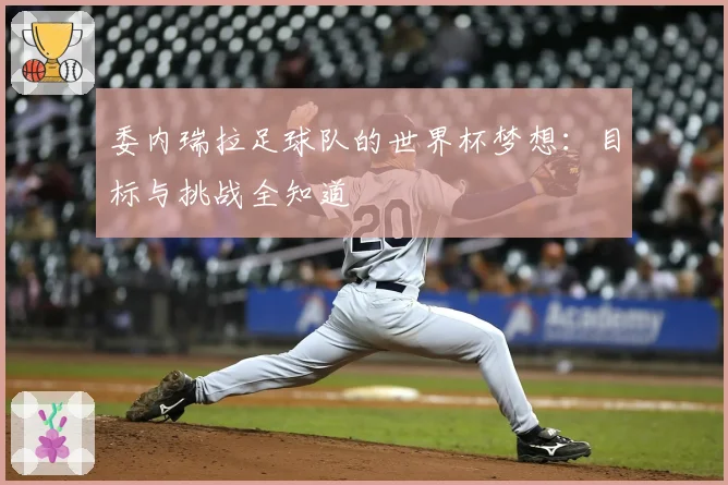 委内瑞拉足球队的世界杯梦想：目标与挑战全知道