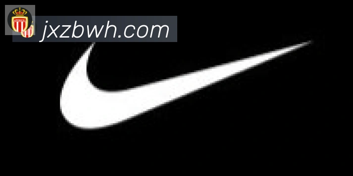 开云官方版网站登录入口合作伙伴